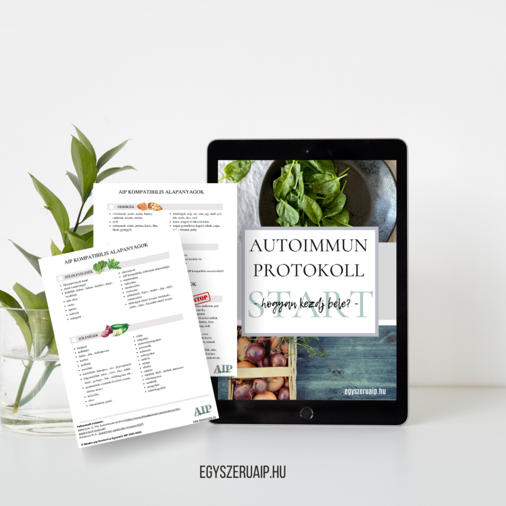 AIP start mockup 2